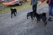 Tapaaminen Mynämäellä 29.9.16