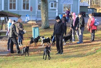 Syksyn 2015 tapaaminen Helsingissä Ravintola Lähiössä 15.11. Ohjelmassa oli tutustumista ja luento pennutuksesta.