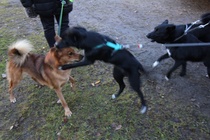 Tapaaminen Mynämäellä 29.9.16