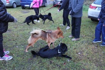 Tapaaminen Mynämäellä 29.9.16